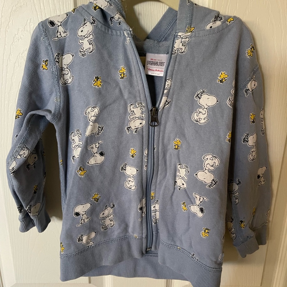 Hanna Andersson Light Blue Hoodie with Snoopy and Woodstock
